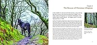 Wild Pony Whispering 0857042769 Book Cover
