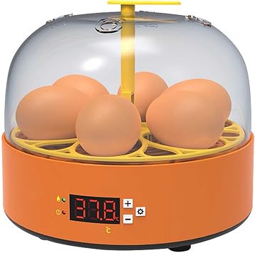 Mini Egg Incubator 6Eggs,Eggs Hatcher with Automatic Turner with Humidity,Incubators for Hatching Chicken Duck Goose Quail Fertilized EggsA 6Eggs
