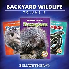 Couverture de Backyard Wildlife: Volume 5