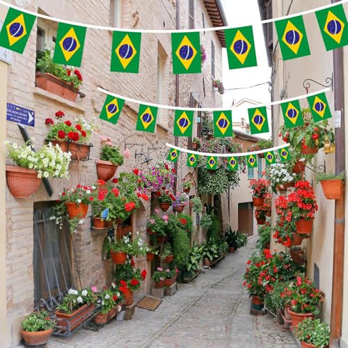 Image of AhfuLife 33 Ft Brazil String Flags Banner for World Cup Decoration 2026, 30 Pcs Small Brazilian Bunting String Flags - Double Sided for Independence Day Garden Street Party Decor (5.5x8.3 Inch)