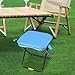Menolana Camping Stool, Folding Chair, Folded Zipper Handbag, Outdoor Footstool, Folding Stool for Concert Patio Traveling Picnic, Blue