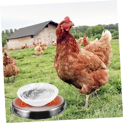 Chauffe-eau pour poulets pour protéger le poulailler en hiver - 6
