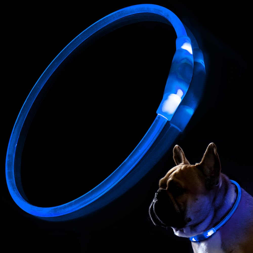 BNGGOGO LED Dog Collar, USB Rechargeable Flashing Light Up Collar for Safety At Night, Adjustable Water Resistant Bright Lighted Collar for Dogs - One Size Fits All