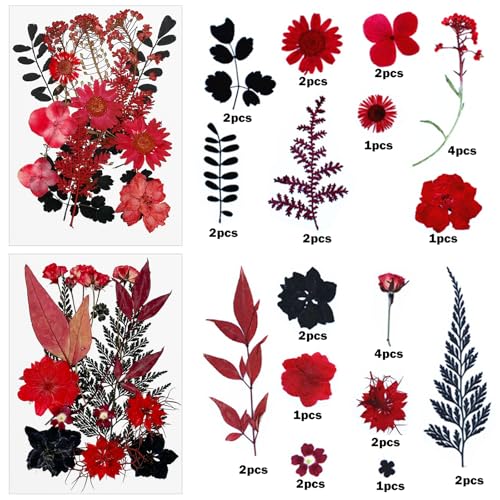 Flores secas prensadas Cayway 64 unidades rojo negro miniatura 2
