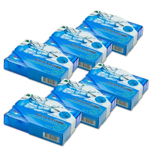 Pack of 6 TreeFrog Xtreme Fresh Mini Japanese Under-The-Car Natural Air Freshener (Fresh Squash Scented)