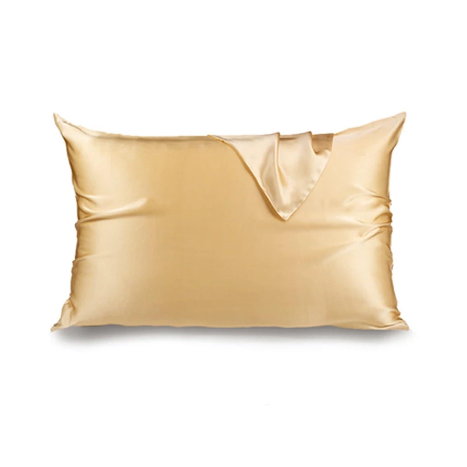 Silk Pillowcase Pure Natural Mulberry Silk Pillowcase With Hidden Zipper 19 Momme(Champagne,Japan 50x70cm)