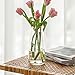 FANTESTICRYAN Modern Glass Vase Irised Crystal Clear Glass Vase for Home Office Decor (Crystal Clear)