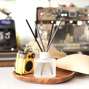 Brakula reed diffuser black vanilla scented home fragrance bathroom diffuser with 16 reed sticks essential oil diffuser for living room guest rooms 34oz100ml x 2  urban country home decor