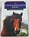 The Chincoteague Pony (Learning about Horses)