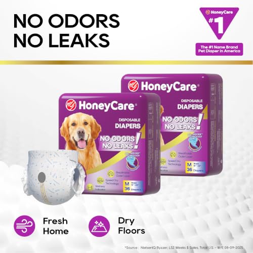 Image of HONEY CARE All-Absorb Disposable Female Dog Diapers M Size, Improved Bigger Size, 36 Count, Super Absorbent, Breathable, Wetness Indicator (Pack of 1, 36 Count Total)
