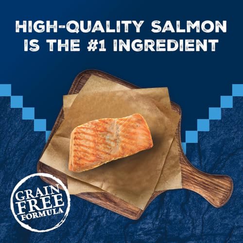 Image of Blue Buffalo Wilderness High Protein, Grain Free Wet Kitten Food, Salmon Pate, 3oz Cans, 4-Count Multipack