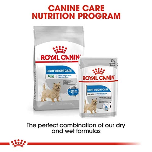 Royal Canin 8kg Mini Adult Light für kleine Hunde
