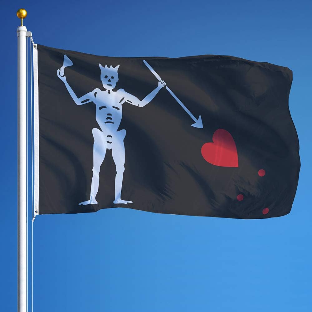 Vispronet 3ft x 5ft Blackbeard Pirate Flag, Jolly Roger Banner, Weather-Resistant Polyester, Metal Grommets, Pirate Party Ideas, Skull Outdoor Decor, Printed in USA, Flag Only