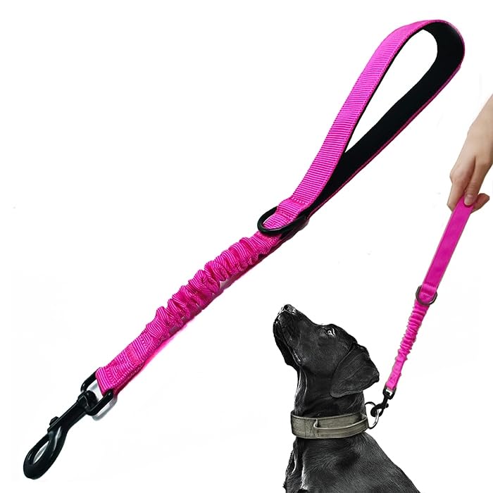 Short Dog Training Control Leash 18 Inch 1 Inch Wide Heavy Duty Elastic Traffic Bungee Leash with...