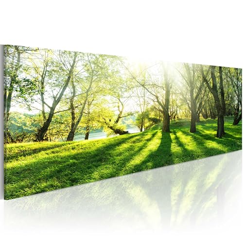 B&D XXL Acrylglasbild Landschaft 120x40 cm 1 Teilig Wandbild auf Acryl...