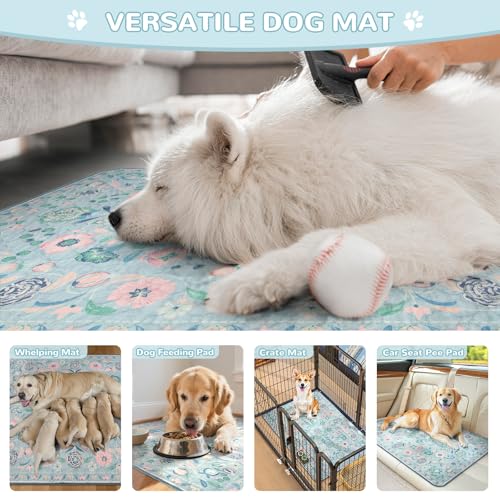Image of Lahome Washable Reusable Pee Pads for Dogs, 2 Pack, Blue, 24x24 | Super absorbent, waterproof training mats with leakproof non-slip backing; suitable for potty training, crates and floors.