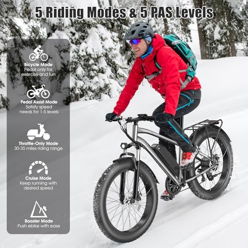 Electric Bike for Adults, 1000W Peak 25MPH 60Miles Ebike,48V