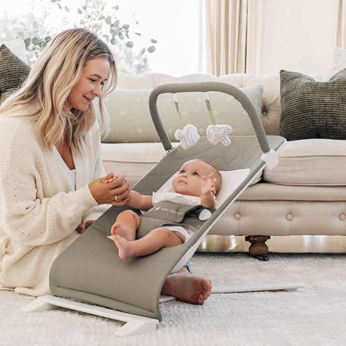 image for Baby Delight Alpine Deluxe Portable Baby Bouncer | Infant | 0-6 Months