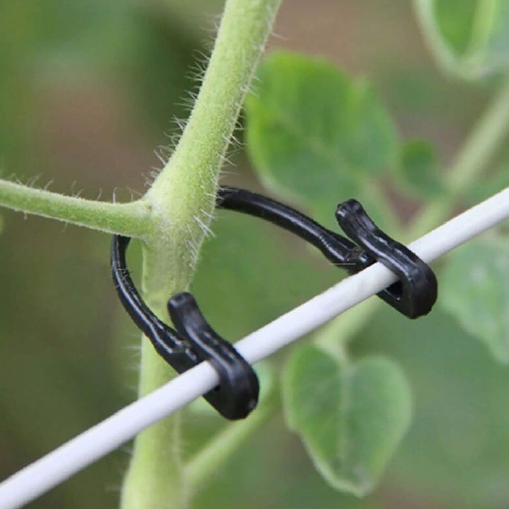 Operitacx 200pcs Rattan Plant Trellis Clips Adjustable Support Clips for Climbing Plants Vines and Vegetables Ideal for Trellis Garden Securing Stems Tomatoes and Flowersthe Garden - Image 2