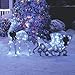 NOMA Pre-Lit LED Light Up Reindeer and Sleigh 2-Piece Set | Christmas Holiday Lawn Decoration | Indoor/Outdoor