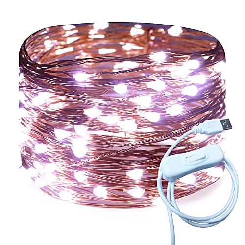 RUICHEN USB Fairy Lights 33 Ft 100 LED String Lights with ON/Off Switch, Waterproof Copper Wire Christmas Lights for Bedroom Wall Ceiling Wreath Crafts Wedding Party (Cool White)