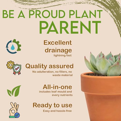 Image of Ropansathi Succulent Plant Potting Mix- 500 gram