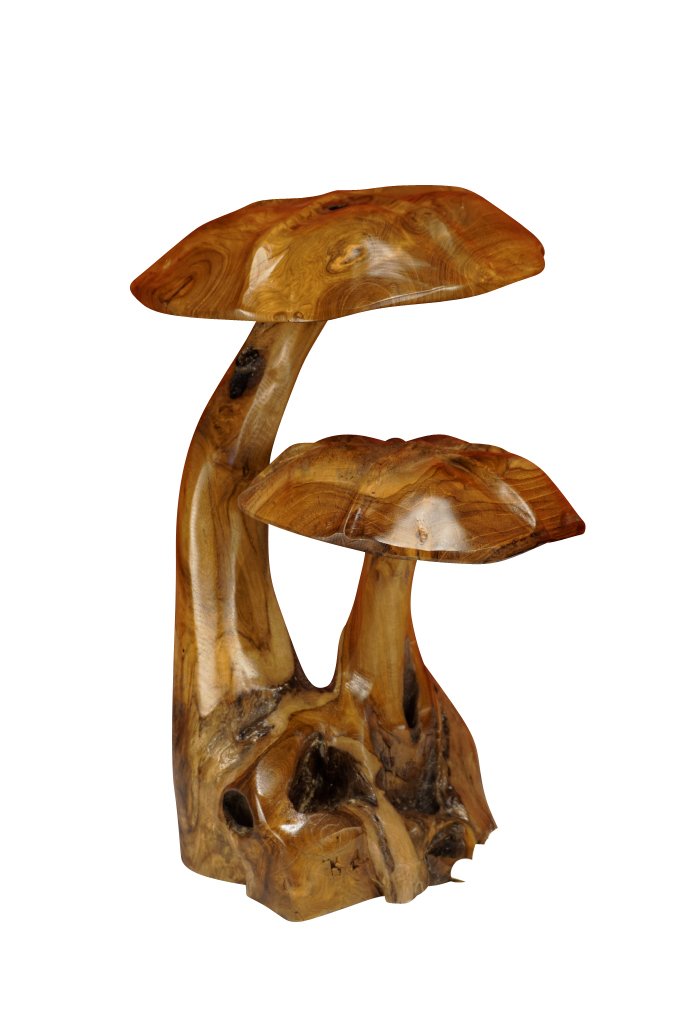 Kinaree 2er Wurzelholz Skulptur Pilz aus Teakholz ca. 45-55 cm – Handgefertigte Holz Skulptur als Garten- & Wohndeko – Massivholz Unikat aus Indonesien