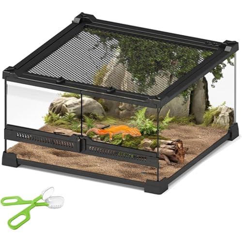 ঒ P[W P[X Ip P[W OXeEyaƐ|p@\Nbv𑡂zgsv JKXP[X NKP[W a肪֗ Eoh~ T eE gJQ wr  w ঒ގP[W ގP[Wۈ牀 wZ