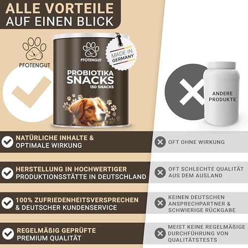 PFOTENGUT® Verdauungssnacks für Hunde [Made IN Germany] - 150 Snacks zur Förderung der Darmflora & Verdauung - Leckerlis zur Stärkung des Immunsystems - Probiotika Hund - Darmflora Aufbau Hund