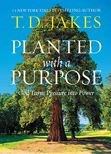 Planted With A Purpose view 2