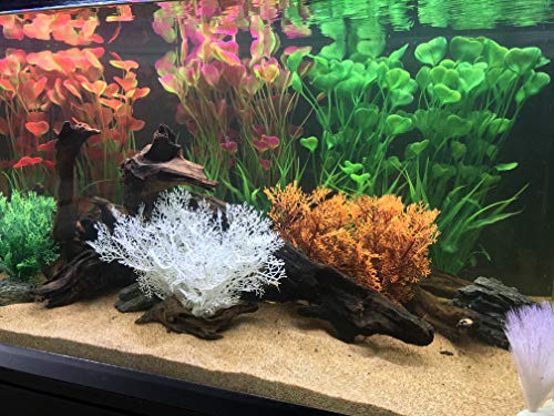 BEGONDIS 2 piante acquatiche artificiali, decorazioni per acquario, realizzate in plastica morbida, ideali per tutti i pesci e gli animali domestici (pianta grande - verde) - Image 4