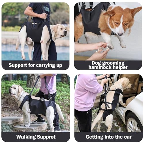 Hunde Tragehilfe, Tragehilfe Hund Treppe, Mobilitätshilfen für Hund Hebegeschirr für Hinterbeine Hüftstütze mit Griffen Sicherheitsunterstützung für Behinderte, Verletzte Oder Ältere Hunde (M)