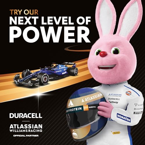 Duracell Plus D Batteries (4 Pack) - Alkaline 1.5V - 100% Life Guaranteed - Reliability For Everyday Devices - 0% Plastic Packaging - 10-Year Storage - LR20 MN1300 - Image 4