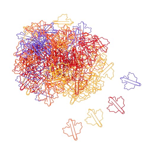 HOMSFOU 100Jt^~jy[p[Nbv ?^킢J