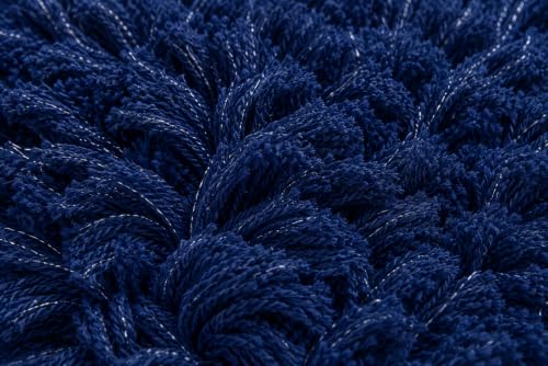 Image of Shaggy Carpet 5x7 Ft for Living Room & Bedroom (Blue)