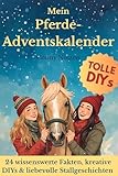 Mein Pferde-Adventskalender: Geschichten, DIYs & Wissen rund ums Pferd – 24 kreative Ideen für Reiterinnen & Pferdefreunde