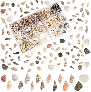 PandaHall Sea Shells, 466pcs 15 Style Spiral Shell Beads Undrilled Tiny Natural Sea Shell Ocean Spiral Seashells Miniature Shells for Resin Candle Party Wedding Decor Fish Tank Vase Filler, No Hole