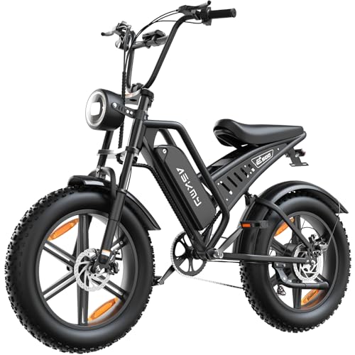 Electric Bike for Adults with 500W-1000W Motor