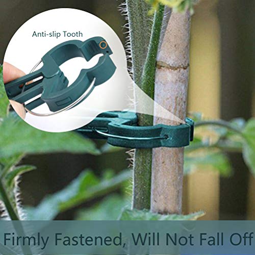 TIMESETL 100PCS Garden Plant Clips (2 Dimensioni)