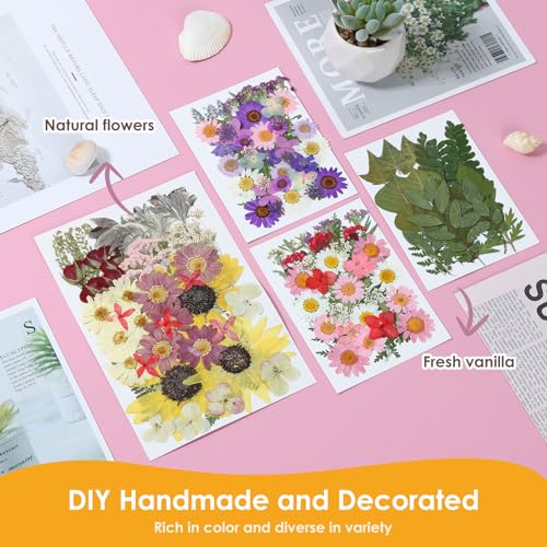 Juego de 152 flores secas prensadas para manualidades miniatura 2