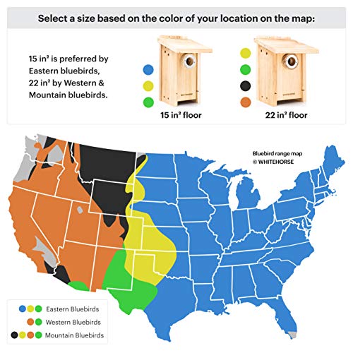 Whitehorse Premium Cedar Bird House - Weatherproof Design With A 15 Sq Inch Floor - A Bluebird Box House Built To Nabs Specs - Enjoy Bird Watching While Supporting Birds (Eabl) #TOP4
