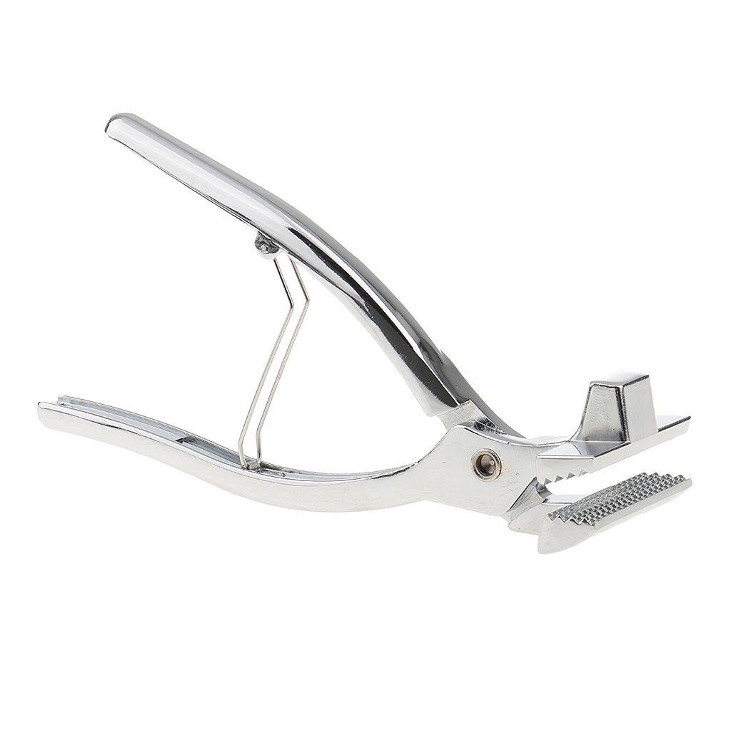 predolo Juego de Herramientas para Tensar Lienzos con Alicates Metálicos, 6cm