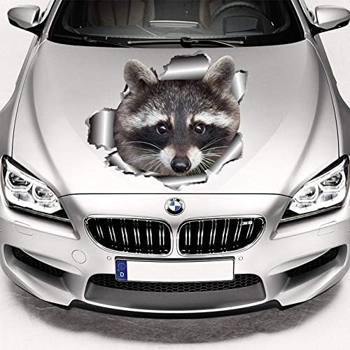 decalcomania per cofano auto