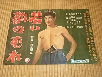 Amazon.co.jp: 1959年（昭和34年）日活スコープ「若い豹のむれ」野外用