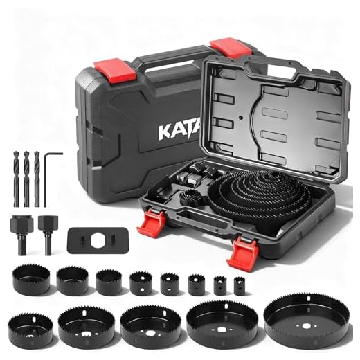 20pc Hole Saw Set with Mandrels