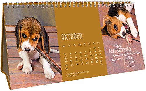 Für Hundefreunde 2016: Tischkalender