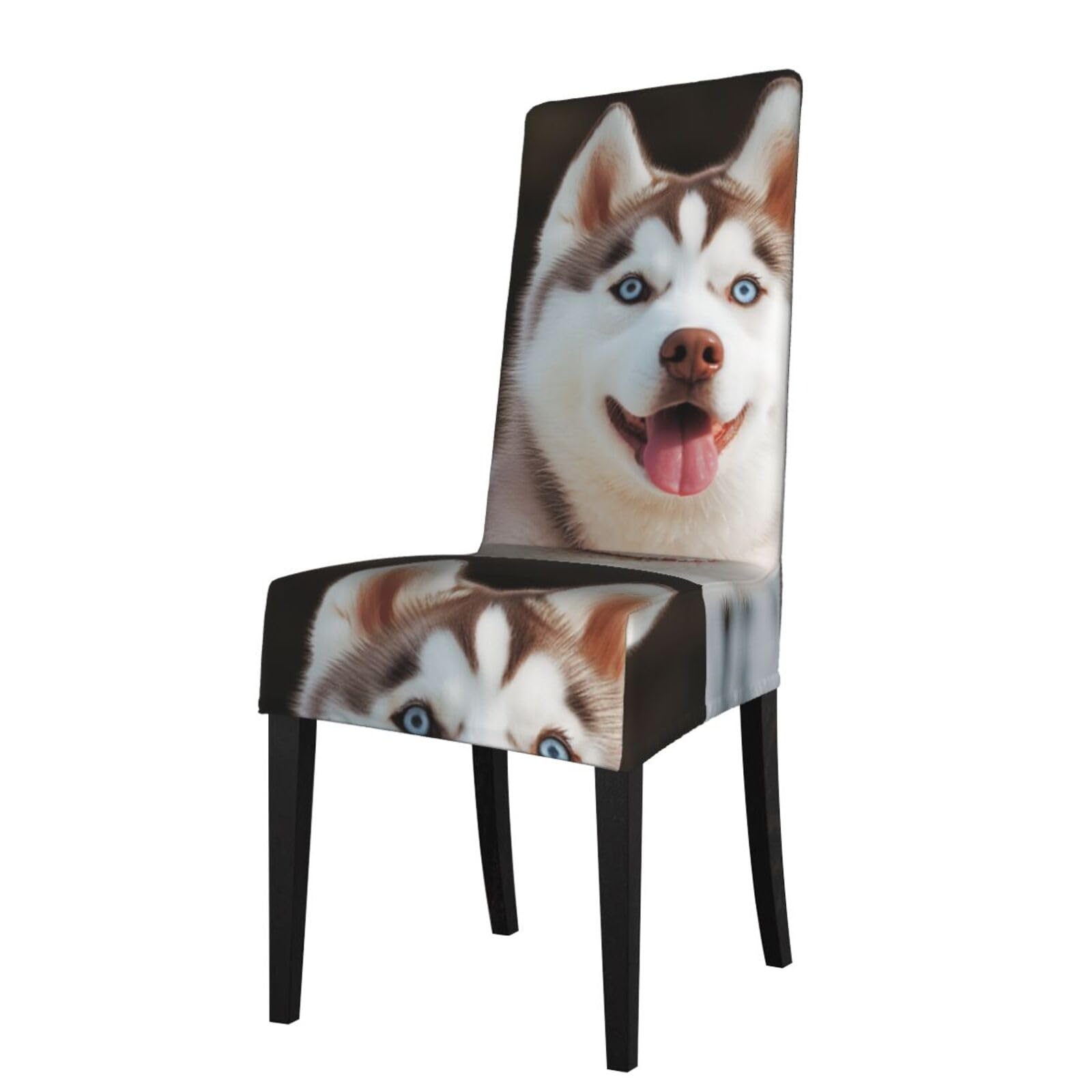FodPand Stretch Chair Covers for Dining Room, Husky Piquant Dog Chair Seat Covers Washable Detachable Chair Slipcover Chair Protectors Covers for Kitchen,Wedding,Party