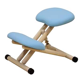 学習椅子　バランスチェア　ネイビー バランス イージー 通常フレーム(カバー付き)バランスチェア