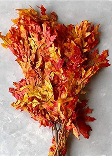 Afloral Preserved Fall Oak Leaves in Autumn Red Orange -