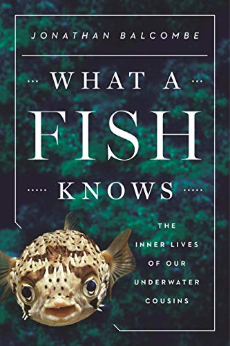 What a Fish Knows view 2